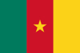 Камерун Государственный флаг
