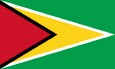 Гайана Государственный флаг
